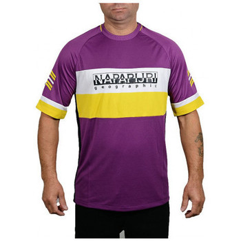 Kleidung Herren T-Shirts & Poloshirts Napapijri SALA MULTICOLOR Violett