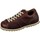 Schuhe Damen Derby-Schuhe & Richelieu Snipe Schnuerschuhe Hector 366002-158-216 Braun