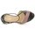 Schuhe Damen Sandalen / Sandaletten Pollini PA1638CC1V Braun / crème