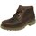Schuhe Herren Stiefel Panama Jack Bota Panama Bota-Panama-C44-castano Braun