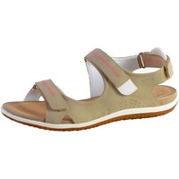 Schuhe Damen Sandalen / Sandaletten Geox 144008 Beige