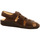 Schuhe Herren Sandalen / Sandaletten Finn Comfort Offene MILTON nut () 01520-055258 0 Braun