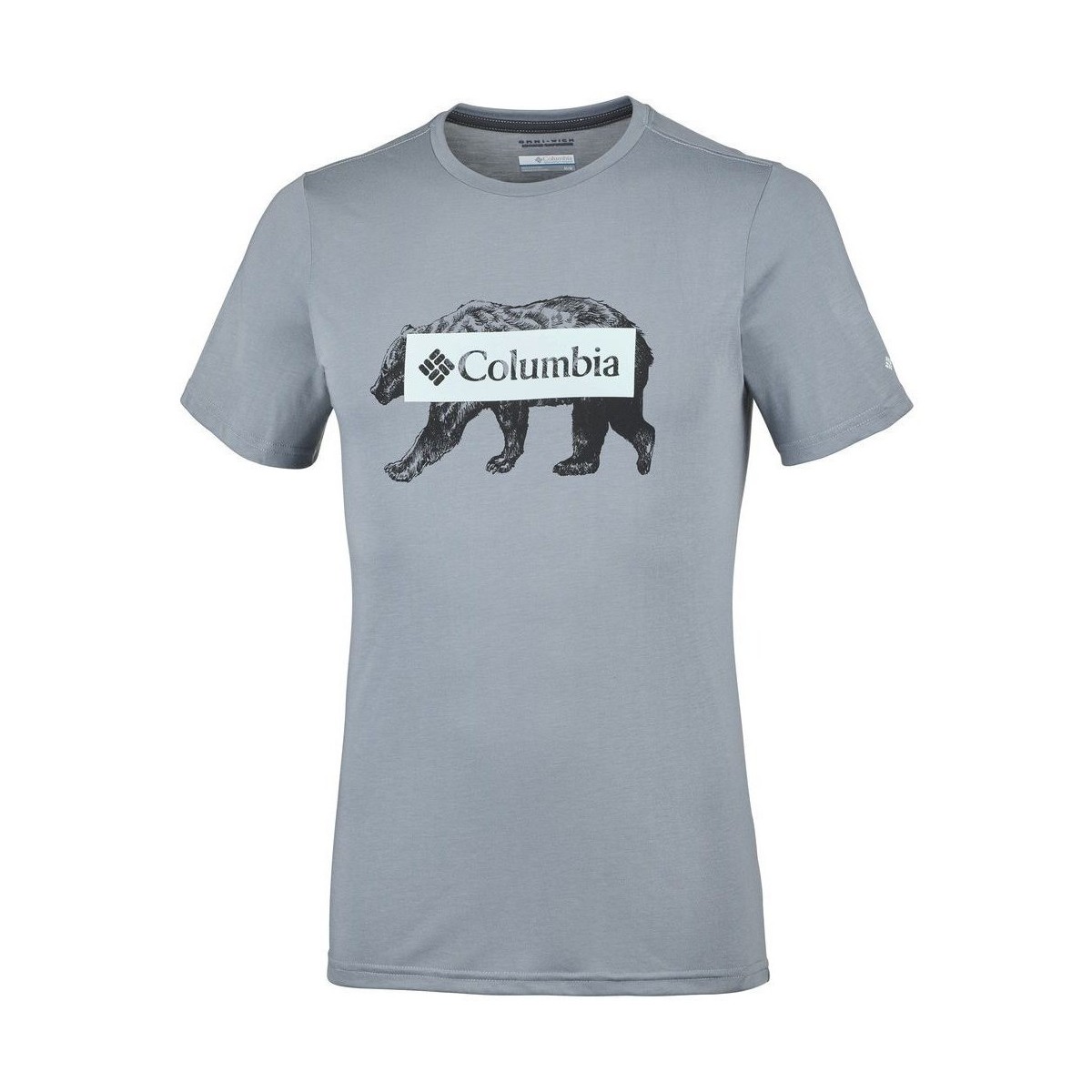 Kleidung Herren T-Shirts Columbia Box Logo Bear Grau
