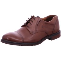 Schuhe Herren Derby-Schuhe & Richelieu Lloyd Business 18-351-03 Kovas braun