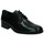 Schuhe Herren Derby-Schuhe & Richelieu Nuper 4681 Schwarz