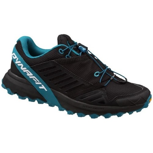 Schuhe Damen Laufschuhe Dynafit Alpine Pro W Blau, Schwarz