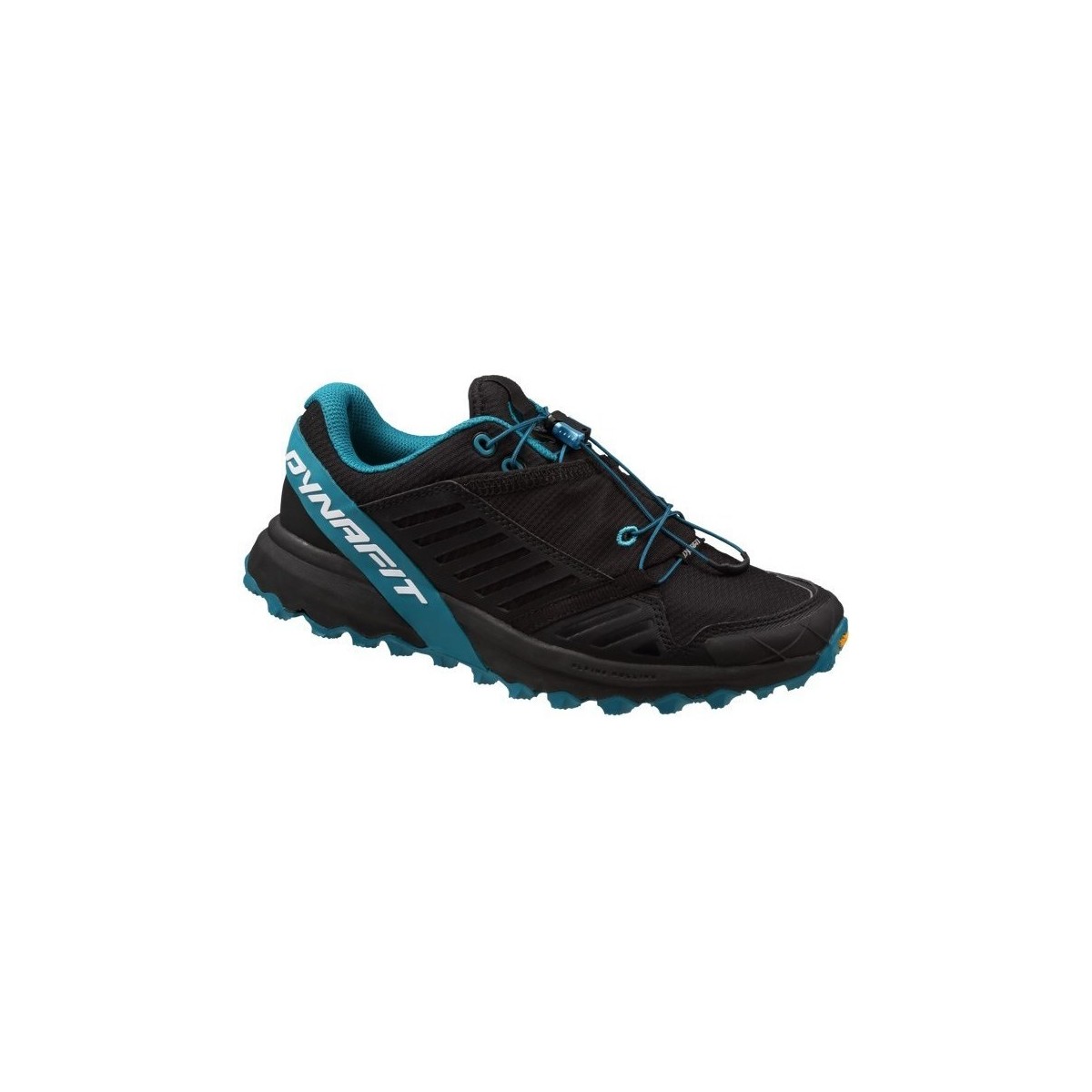 Schuhe Damen Laufschuhe Dynafit Alpine Pro W Schwarz, Blau