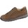 Schuhe Herren Derby-Schuhe & Richelieu Finn Comfort Schnuerschuhe SARAGOSSA 01197 Braun