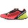 Schuhe Damen Laufschuhe Dynafit Alpine Pro W Seladongrün, Rosa, Graphit