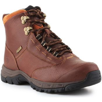 Schuhe Damen Boots Ariat Trekkingschuhe  Berwick lace GTX Insulated 10016298 Braun
