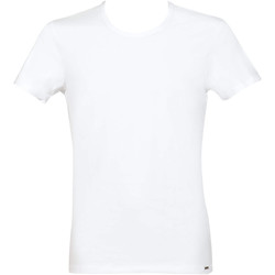 Kleidung Herren T-Shirts & Poloshirts Lisca T-shirt Apolon Weiss