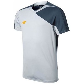 Kleidung Herren T-Shirts & Poloshirts New Balance WSTM500SVM Grau