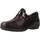 Schuhe Damen Derby-Schuhe & Richelieu Pinoso's 7313 G Braun