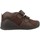 Schuhe Jungen Derby-Schuhe & Richelieu Biomecanics 181145 Braun