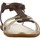 Schuhe Damen Sandalen / Sandaletten Stonefly ALISYA 1 Braun