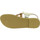 Schuhe Damen Sandalen / Sandaletten Attica Sandals ARTEMIS CALF GOLD Gold