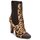 Schuhe Damen Low Boots Roberto Cavalli SPS769 Braun