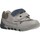 Schuhe Jungen Sneaker Low Chicco 1060451 Grau