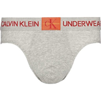 Unterwäsche Herren Slips Calvin Klein Jeans 000NB1710A Grau