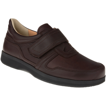 Schuhe Herren Derby-Schuhe Natural Feet Kletter Korbin XL Farbe: braun braun