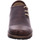 Schuhe Herren Derby-Schuhe & Richelieu Andrea Conti Schnuerschuhe 19160000-061 Braun