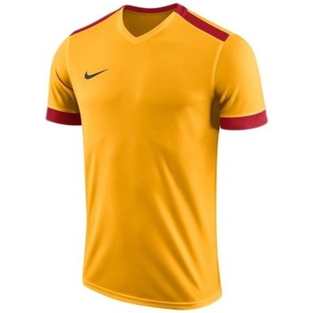 Kleidung Herren T-Shirts Nike Dry Park Derby II Jersey Orangefarbig, Gelb