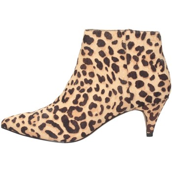 Schuhe Damen Ankle Boots Steve Madden SMSLUCINDA-LEO Stiefeletten Frau Leopard Multicolor