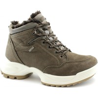 Schuhe Damen Low Boots IgI&CO IGI-I19-4160822-MA Braun