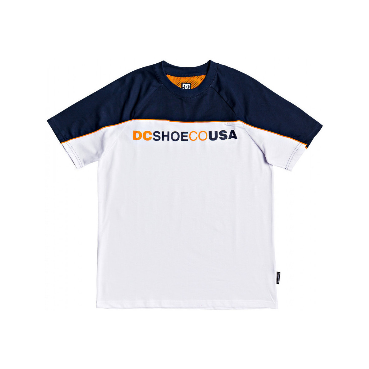 Kleidung Herren T-Shirts & Poloshirts DC Shoes Brookledge ss Weiss
