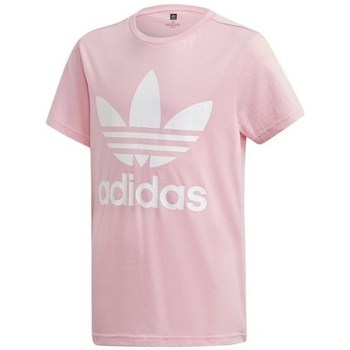 Kleidung Kinder T-Shirts adidas Originals Trefoil Tee Rosa