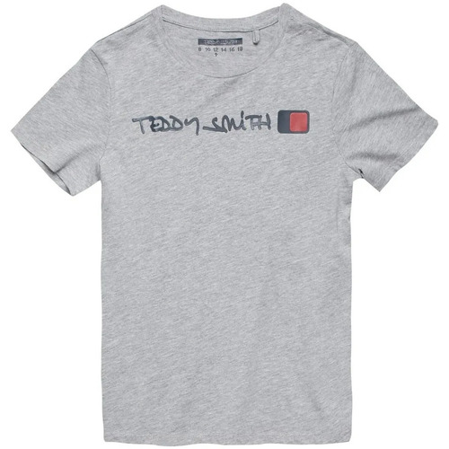 Kleidung Jungen T-Shirts & Poloshirts Teddy Smith 61005782D Grau