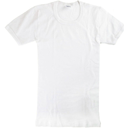 Kleidung Jungen T-Shirts Abanderado 0302-BLANCO Weiss