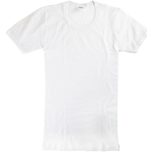 Kleidung Jungen T-Shirts Abanderado 0302-BLANCO Weiss