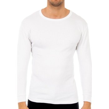 Kleidung Herren T-Shirts Abanderado 0808-BLANCO Weiss