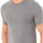 Kleidung Herren T-Shirts Abanderado A040W-GRIS-VIGORE Grau