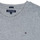 Kleidung Jungen T-Shirts Tommy Hilfiger KB0KB04140 Grau