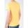Kleidung Herren T-Shirts & Poloshirts Wrangler T-Shirt  S/S Graphic T W7931EFNG Gelb