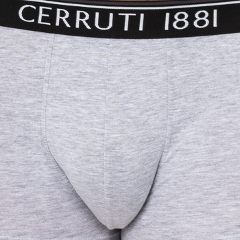 Cerruti 1881 109-002458 Grau