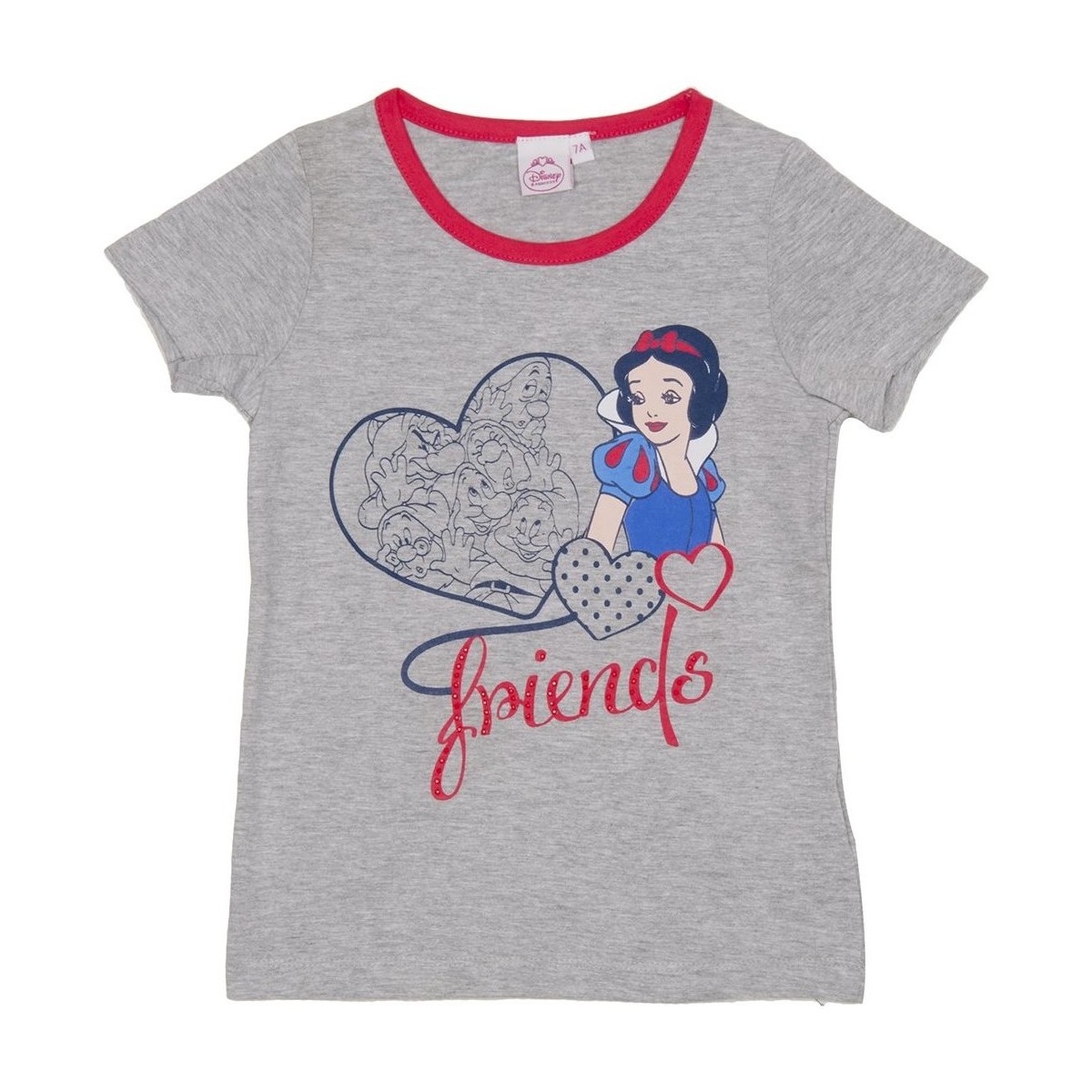 Kleidung Mädchen T-Shirts Disney WD26121-GRIS Grau