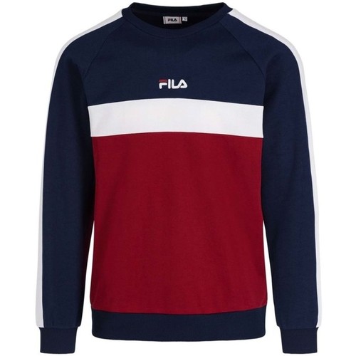 Kleidung Herren Sweatshirts Fila PAAVO Multicolor