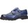 Schuhe Herren Derby-Schuhe & Richelieu Berwick 1707  Blau