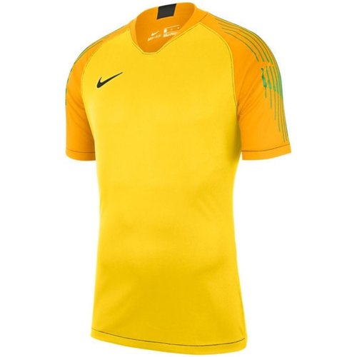 Kleidung Herren T-Shirts & Poloshirts Nike Sport M NK GARDIEN II GK JSY SS 894512 719 Other
