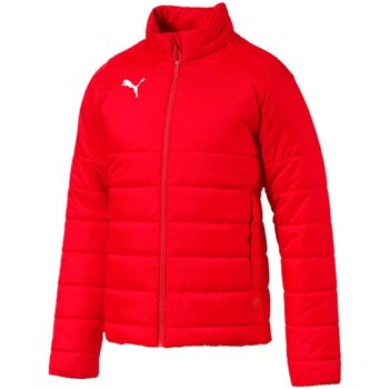 Kleidung Herren Jacken Puma Sport LIGA Casuals Padded Jacket 655301 001 Rot