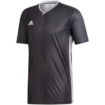 Kleidung Herren T-Shirts & Poloshirts adidas Originals Sport TIRO 19 JSY DP3534 Other