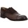 Schuhe Herren Derby-Schuhe & Richelieu Antonio Maurizi Premium Oxford 8724-F brown Braun
