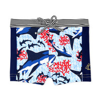 Kleidung Jungen Badeanzug /Badeshorts Petit Bateau FEUILLAGE Multicolor