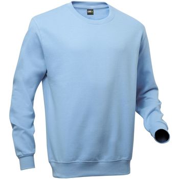Kleidung Herren Sweatshirts Pro Rtx RTX Blau