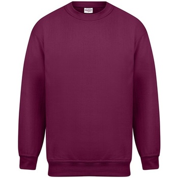 Kleidung Herren Sweatshirts Absolute Apparel Magnum Multicolor
