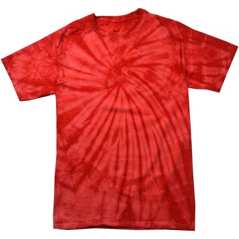 Kleidung Kinder T-Shirts Colortone Spider Rot
