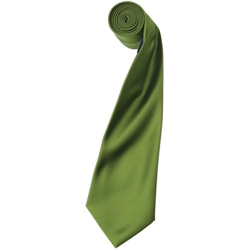 Kleidung Herren Krawatte und Accessoires Premier PR750 Oase